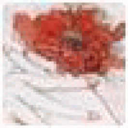 DonaldOriet