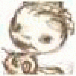 CaresCaugs