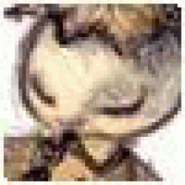 Lloydtab