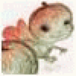DavidRek