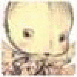 TimothyKix