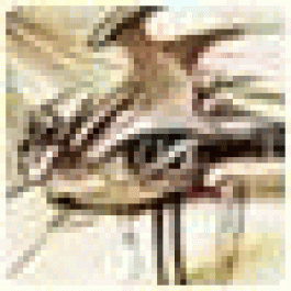 Victorrog