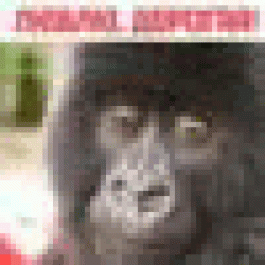 WilliamSal