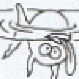 DonaldSnume