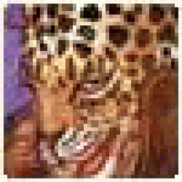 DonaldSnume