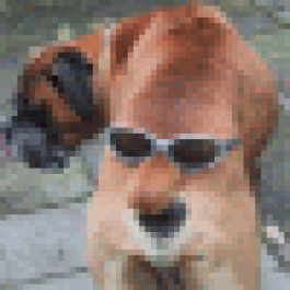 Bradleyprary