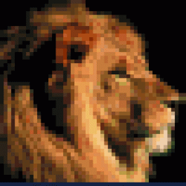 Josephjam