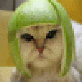 DonaldSnume